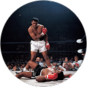 Qasim profile picture