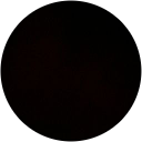 Nikolay Hvarchilkov profile picture