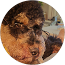 Chelle profile picture