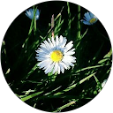 Mariam Ayob profile picture