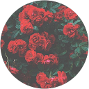 Rose-Anne profile picture